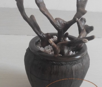 Linh chi kiểng Trường Sinh