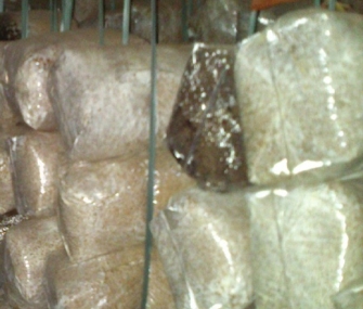 Bịch phôi nấm