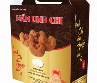 Linh chi Trường Sinh cao cấp nghiền bột (500g)