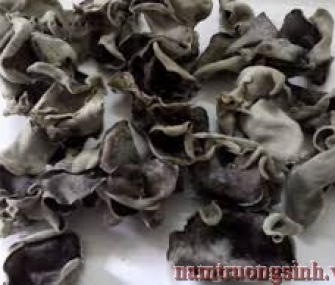 Nấm mèo (500g)